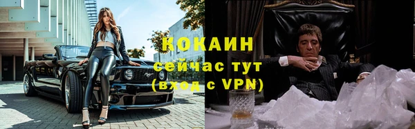 ГАЛЛЮЦИНОГЕННЫЕ ГРИБЫ Горняк