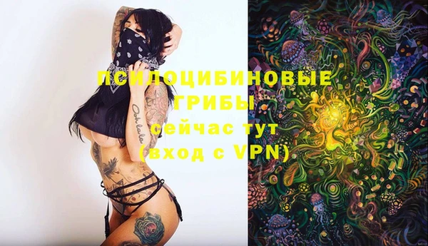 ГАЛЛЮЦИНОГЕННЫЕ ГРИБЫ Горняк