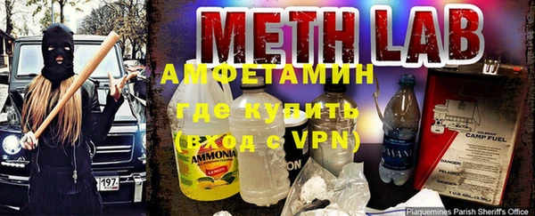 ГАЛЛЮЦИНОГЕННЫЕ ГРИБЫ Горняк