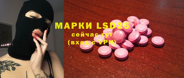 ГАЛЛЮЦИНОГЕННЫЕ ГРИБЫ Горняк